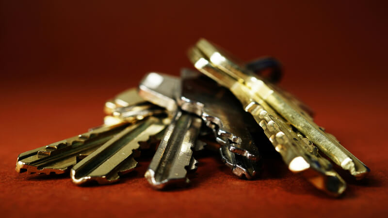 Keywords pexels eye4dtail 3338381