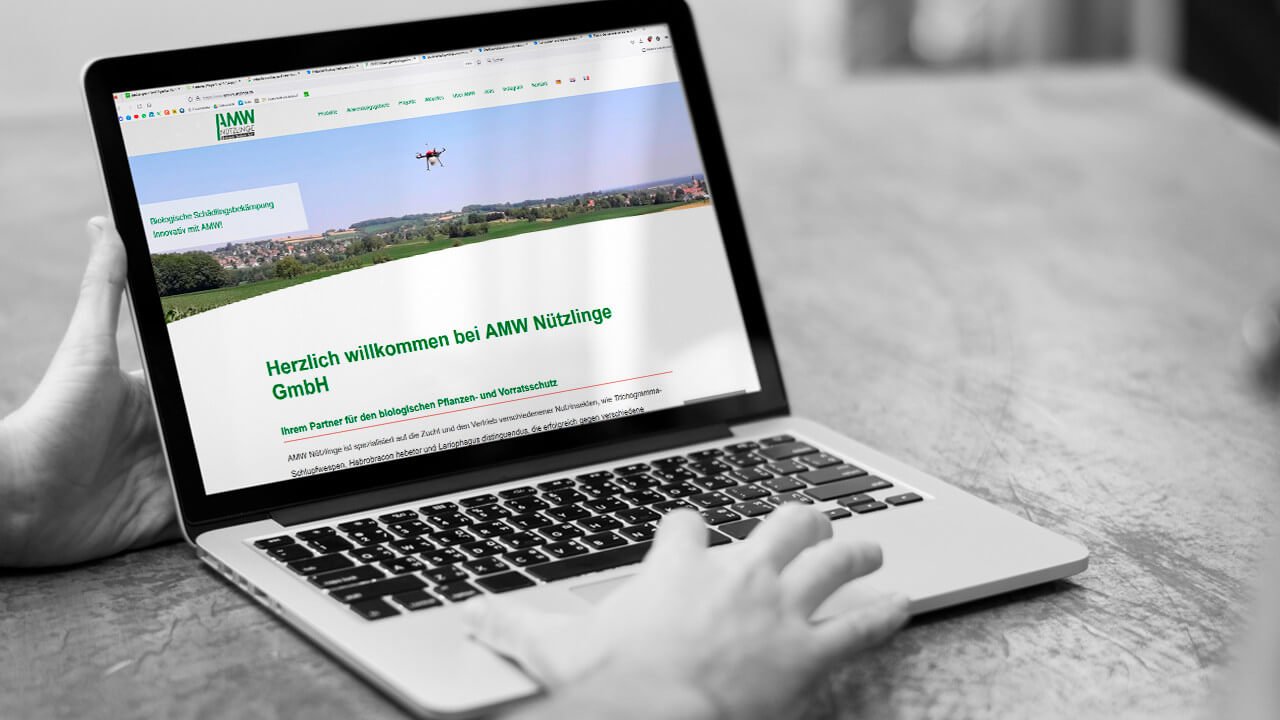 webseite erstellung sitebuilding cms wordpress drupal 03